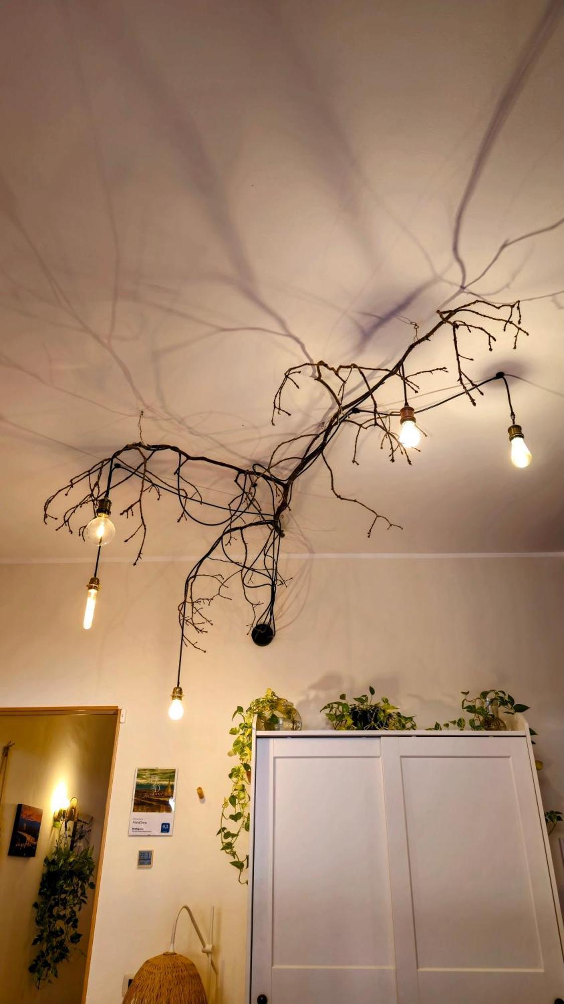 Floradora Apartamento